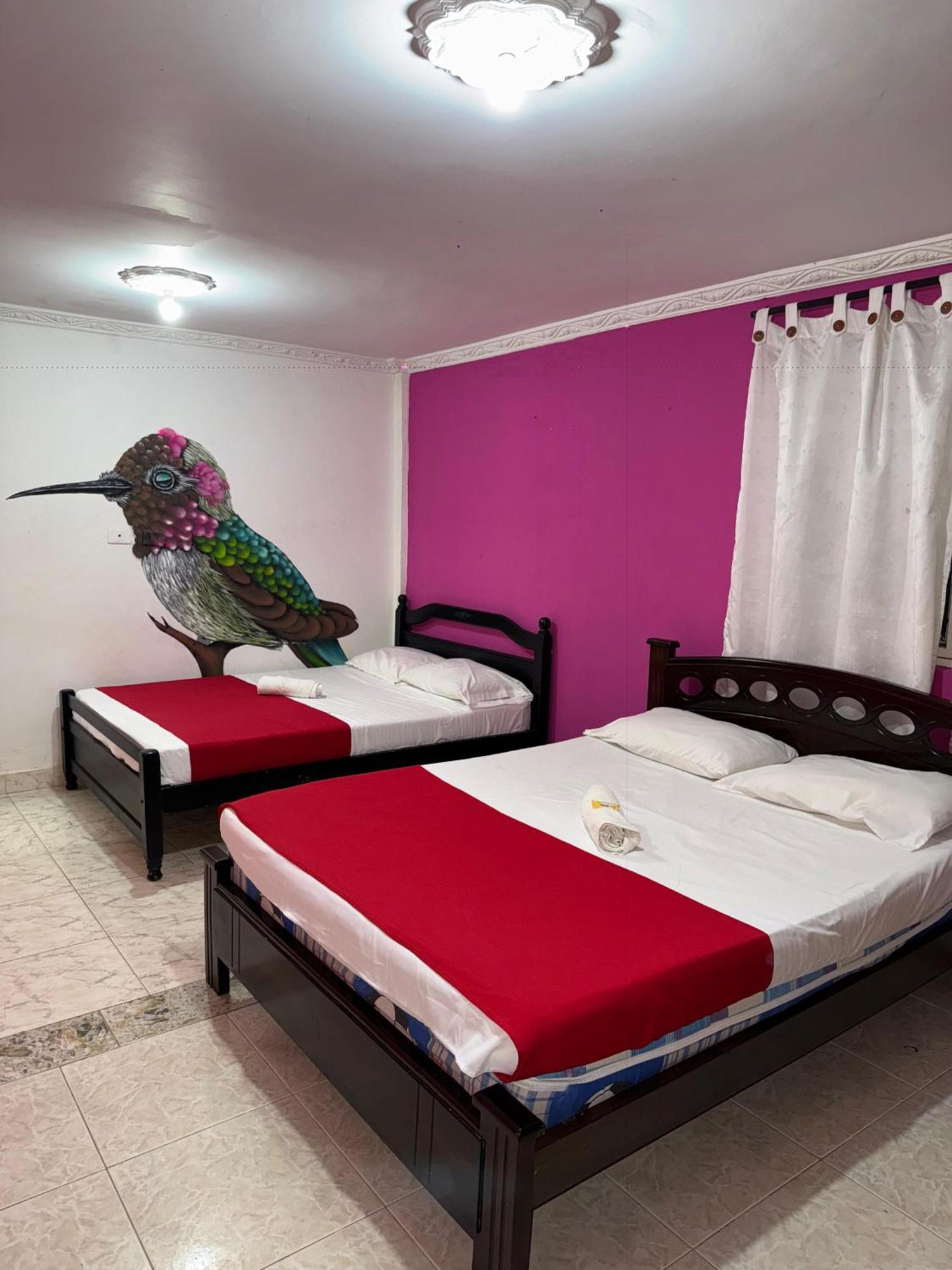 EcoHotel Colibrí Luna Park Exterior foto