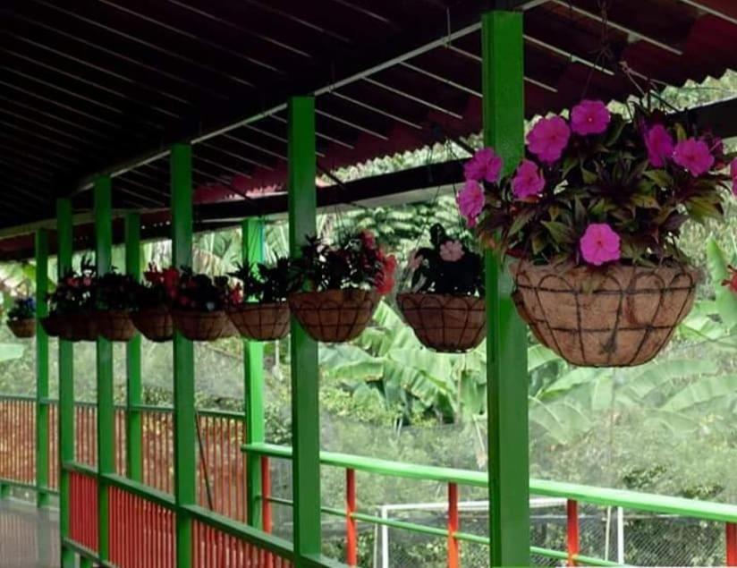 EcoHotel Colibrí Luna Park Exterior foto